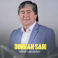 Ahror Usmonov - Borgan Sari mp3 скачать