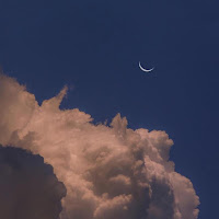 Hiforeverrr - Salvation mp3 скачать